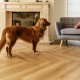 Vinyl flooring LAMETT Yukon Mistral Herringbone